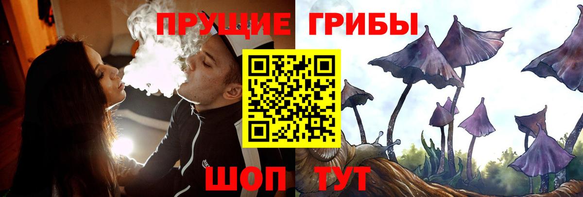 Южноуральск  Псилоцибиновые грибы ЛСД  Вход с VPN 